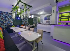 Quisine | The Little Bistro
