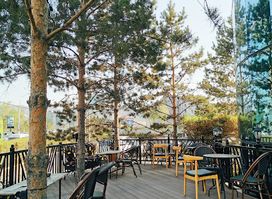 Cosy Club