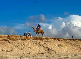 El mirador