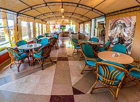 Mandarine Lebanese Restaurant
