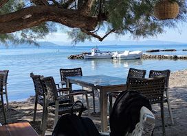 Restaurant - Taverna Ostria