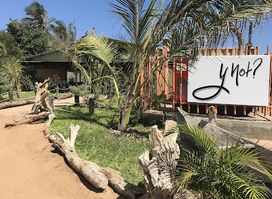 YNot? Restaurant