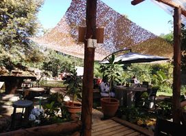 Anabas Resort Trout and Seafood Grill