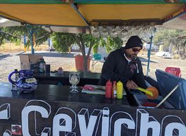 Mr. Ceviche