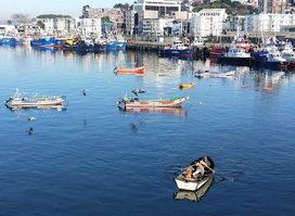 Mercado de Pescados y Mariscos de Talcahuano