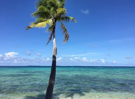 Pacific Pure Water, Inc.