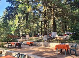 Bar Taverna Hibraj
