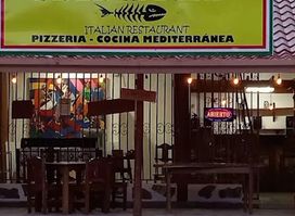 Palati Fini