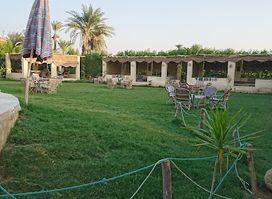 Tunis Cafeteria
