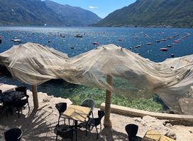 Милош. Устричная Ферма
