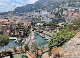 Woo Monaco