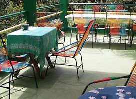 Las Lagartijas Restaurante Y Tienda