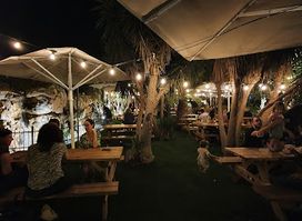 Mashav Food Trucks