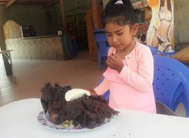 Restaurant "EL PANTANAL"