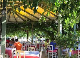 Alexandros Restaurant Grill