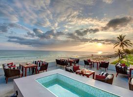 Dolphin Terrazza