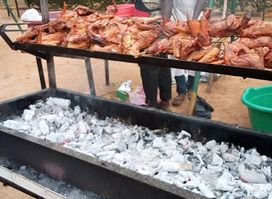 241BBQ