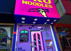 PRO NOODLES