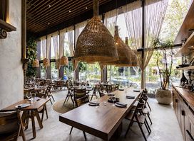 Taboo | El mejor restaurante en Polanco