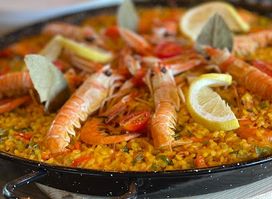 Dar Belka New food