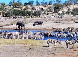 Makgadikgadi Pans National Park