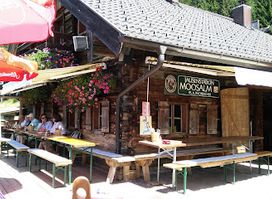 Moosalm Altenmarkt / Eben