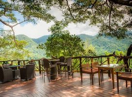 The Giant Chiangmai Thailand