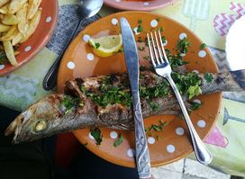 Restaurant Sindibad