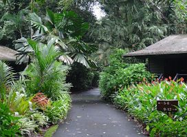 Heritage Lodge In The Daintree