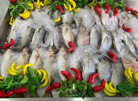 مطعم البحيري بيع وشوي الأسماك البحرية