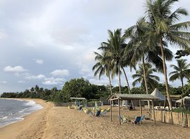 The Burger Bar kribi