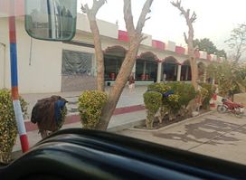 Al Nasir Five Star Restaurant (الناصر ھوٹل)