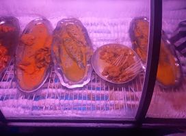 Poisson des iles