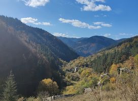 Silivryak