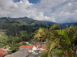Casa Willys