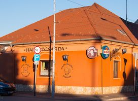 Badacsonyi Halászcsárda