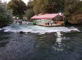 Rotana al assi