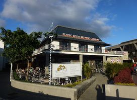 Flying Dodo Brewing Company