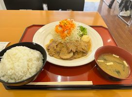 Syokudo and Teishoku restaurant
