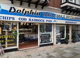 The Dolphin