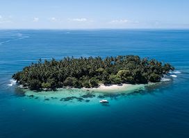 Niugini Dive Adventures