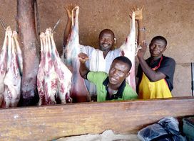 Rotisserie Guinna Dogon