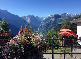 Nussbüel