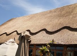 PAPAYA LAKE LODGE
