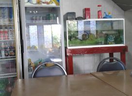 Nur Anisah Abdullah Baculi Restaurant