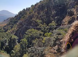 Malolotja Canopy Tour