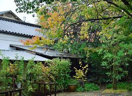 Ashibinosato