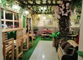 Oli Placita Gourmet