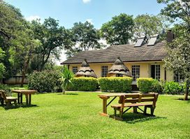 Zebras Dazzle Bed & Breakfast | Restaurant