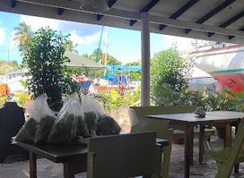 Las Iguanas